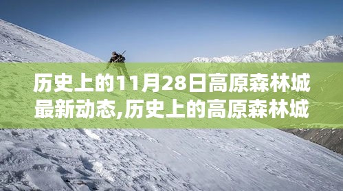 历史上的高原森林城揭秘，最新动态与深远影响——聚焦11月28日动态更新