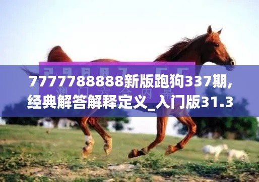 7777788888新版跑狗337期,经典解答解释定义_入门版31.379-2