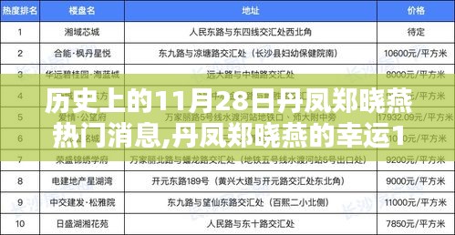 丹凤郑晓燕的幸运日，友谊与爱在11月28日闪耀历史