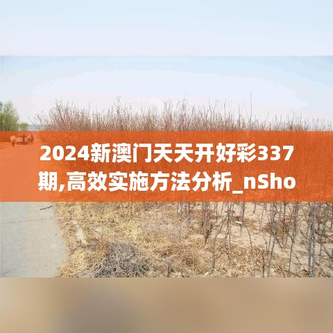 2024新澳门天天开好彩337期,高效实施方法分析_nShop85.183-6