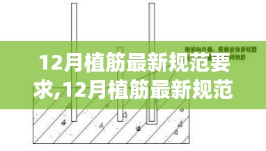 2024年12月2日 第3页