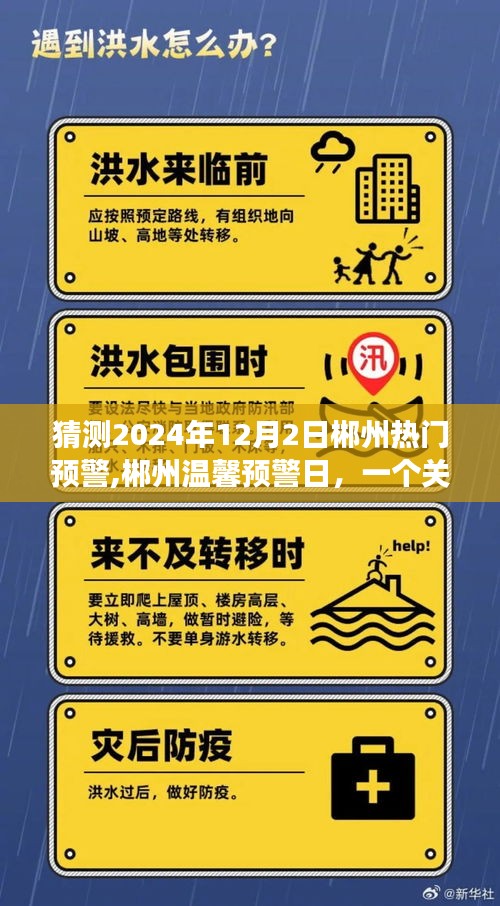 郴州温馨预警日，友情与陪伴的温馨故事展望2024年12月2日