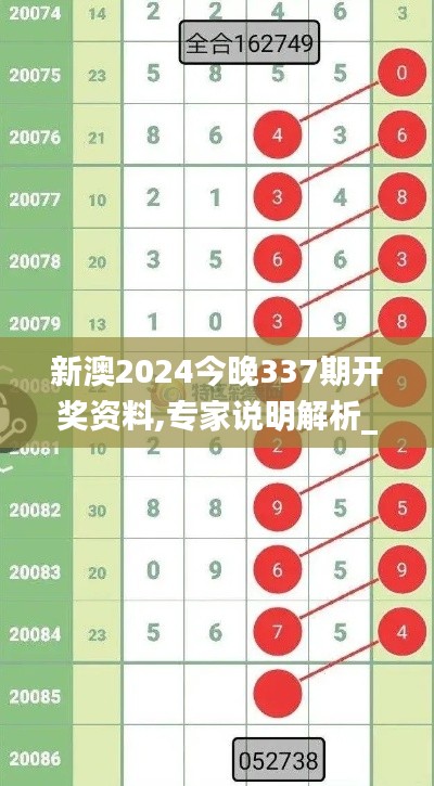 新澳2024今晚337期开奖资料,专家说明解析_Gold11.194-8