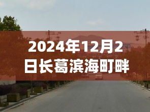 揭秘长葛滨海町畔最新房价动态，2024年12月2日的洞察