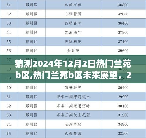 热门兰苑b区未来展望，2024年12月2日的猜想与预测