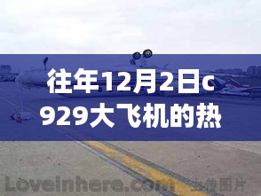 C929大飞机，天空奇遇与友谊的温馨旅程