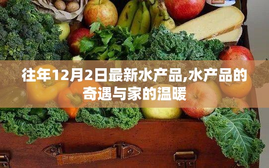 水产品奇遇记，家的温暖与往年12月2日的最新发现