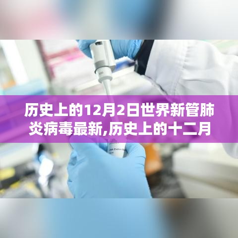 历史上的十二月二日全球新冠肺炎病毒最新动态综述与回顾