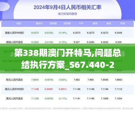 第338期澳门开特马,问题总结执行方案_S67.440-2