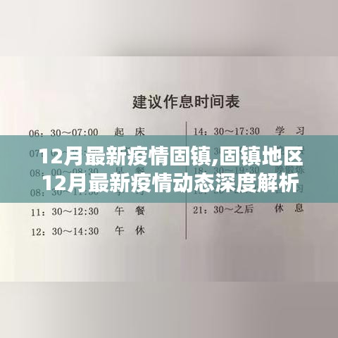 固镇地区12月最新疫情动态深度解析与报告