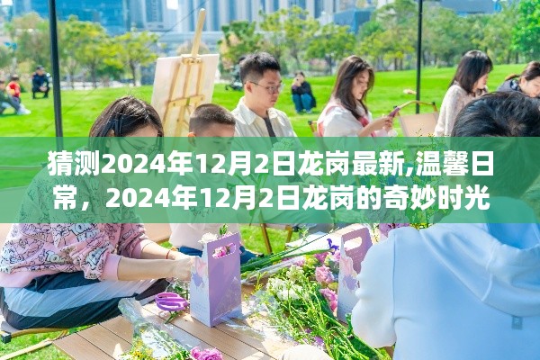 2024年12月2日龙岗的温馨日常与奇妙时光