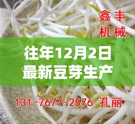 历年12月2日豆芽生产技术革新与影响，豆芽革命的新篇章