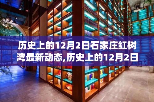 历史上的12月2日石家庄红树湾发展动态深度探讨，最新进展及其影响