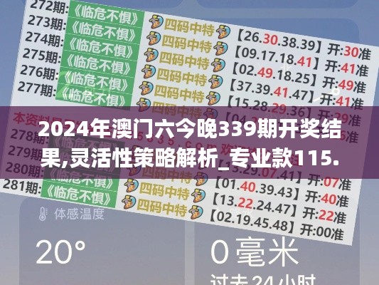 2024年澳门六今晚339期开奖结果,灵活性策略解析_专业款115.678-9