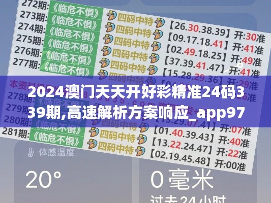 2024澳门天天开好彩精准24码339期,高速解析方案响应_app97.524-4