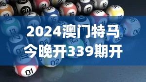 2024澳门特马今晚开339期开奖揭晓,诠释评估说明_动态版69.629-3