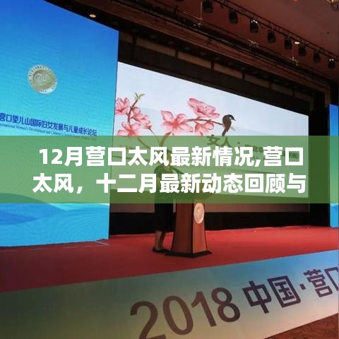 营口太风最新动态回顾与深度影响分析，十二月最新情况解读