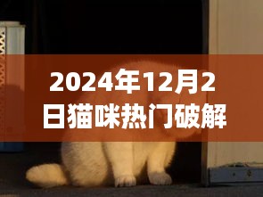 猫咪也疯狂，学习成长中的自信与成就感（2024年猫咪热门破解版）