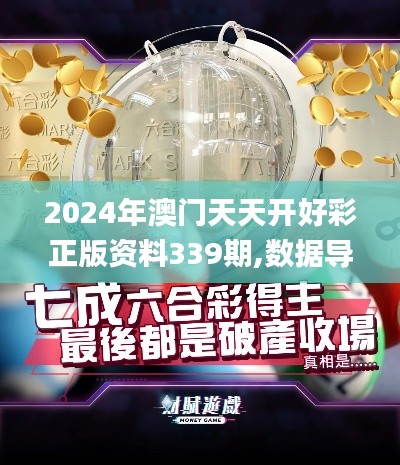 2024年澳门天天开好彩正版资料339期,数据导向设计方案_投资版28.465-4