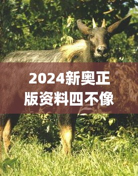 2024新奥正版资料四不像339期,连贯方法评估_终极版79.865-6