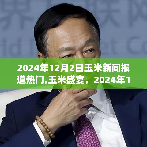 2024年12月2日玉米市场风云变幻，玉米盛宴与行业动态解析