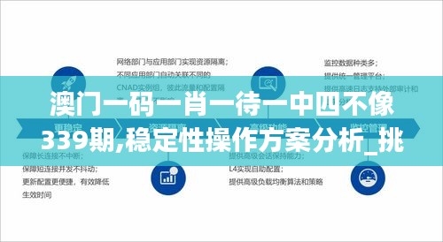 澳门一码一肖一待一中四不像339期,稳定性操作方案分析_挑战款62.777-1