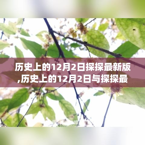 探探最新版与历史上的12月2日交汇点探索，一个值得探讨的话题