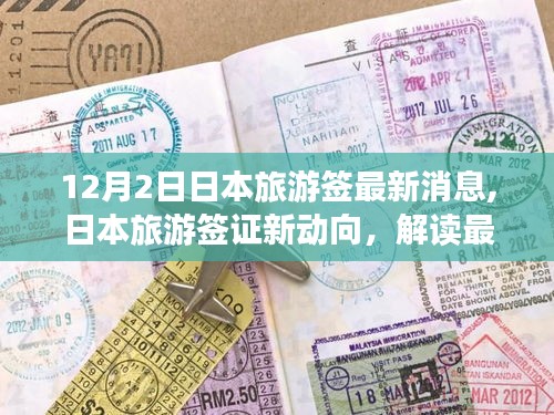 解读日本旅游签证最新动向，12月2日更新视角及其影响分析