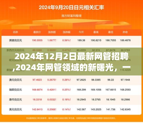 揭秘招聘盛宴背后的故事与启示，2024年网管领域的新曙光