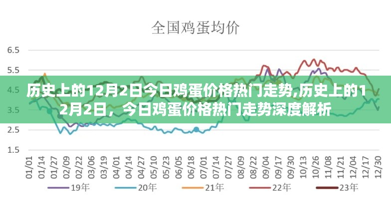 历史上的12月2日鸡蛋价格深度解析，今日热门走势回顾与展望