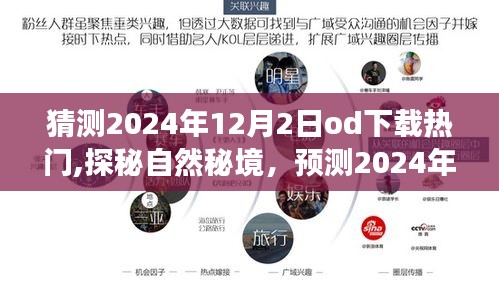 探秘自然秘境，预测2024年旅行下载热门榜单，启程寻找心灵平和之地