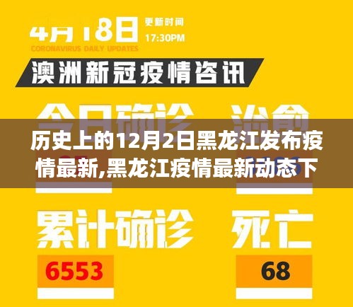 黑龙江疫情最新动态下的历史视角解读，回顾历史上的十二月二日疫情通报