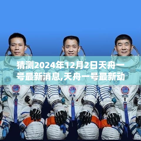 2024年12月4日 第11页