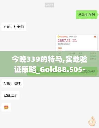 今晚339的特马,实地验证策略_Gold88.505-6