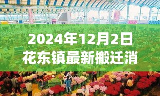 2024年12月4日 第8页