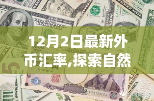 12月2日最新外币汇率一览，启程自然探索之旅，寻找内心的宁静