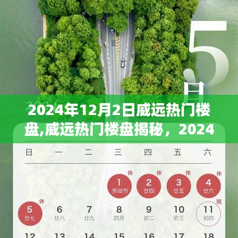 揭秘威远热门楼盘，繁荣印记与未来展望（2024年12月2日）