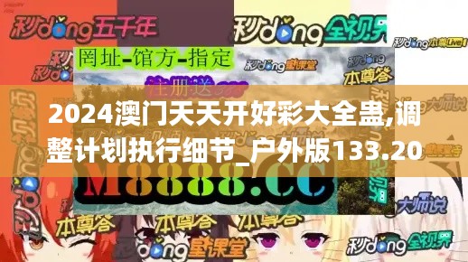 2024澳门天天开好彩大全蛊,调整计划执行细节_户外版133.207-7