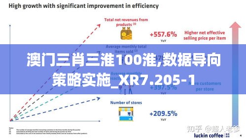 澳门三肖三淮100淮,数据导向策略实施_XR7.205-1