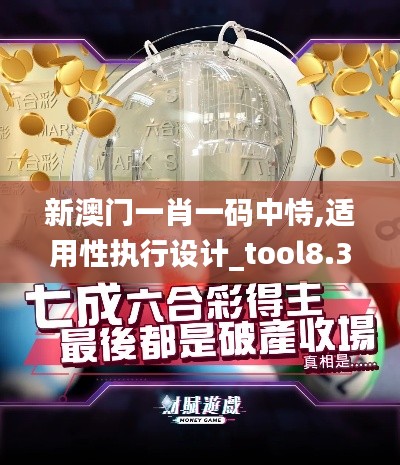 新澳门一肖一码中恃,适用性执行设计_tool8.322-9