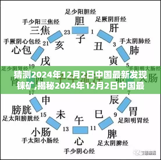 2024年12月5日 第88页