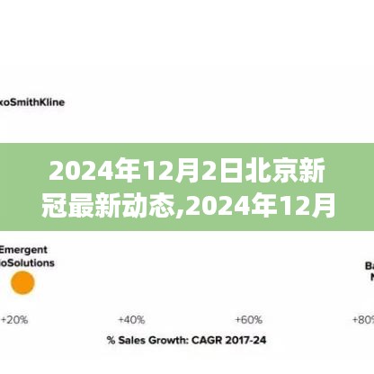 北京新冠病毒防控进展及未来展望，最新动态解读（2024年12月）