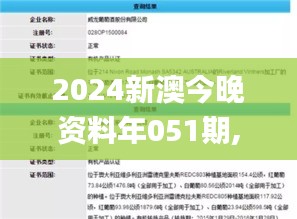 2024新澳今晚资料年051期,实践验证解释定义_Windows132.938-3