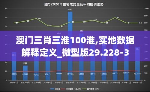 澳门三肖三淮100淮,实地数据解释定义_微型版29.228-3