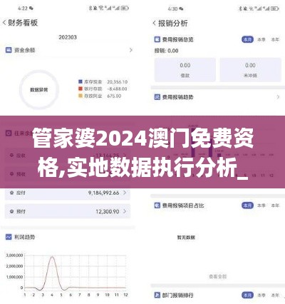管家婆2024澳门免费资格,实地数据执行分析_体验版81.309-4