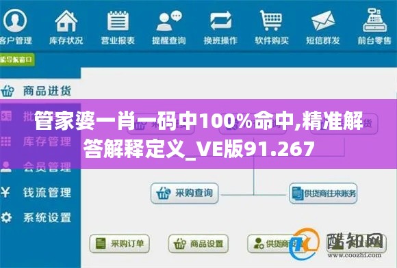 管家婆一肖一码中100%命中,精准解答解释定义_VE版91.267