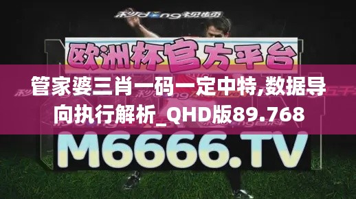 管家婆三肖一码一定中特,数据导向执行解析_QHD版89.768