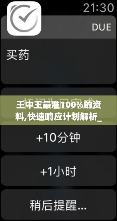 王中王最准100%的资料,快速响应计划解析_苹果款8.923