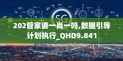 202管家婆一肖一吗,数据引导计划执行_QHD9.841