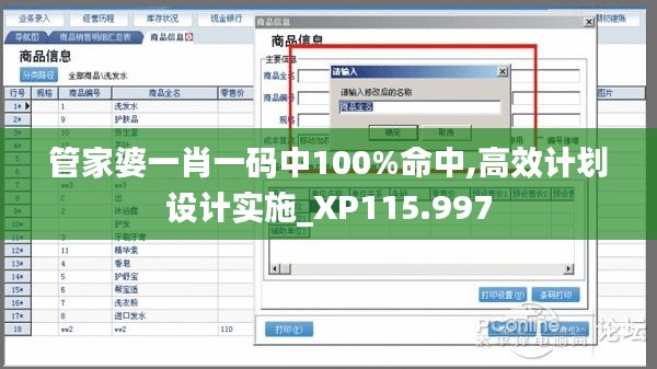 管家婆一肖一码中100%命中,高效计划设计实施_XP115.997